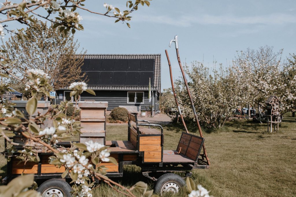 Open Bloesemdagen in Schoonhoven