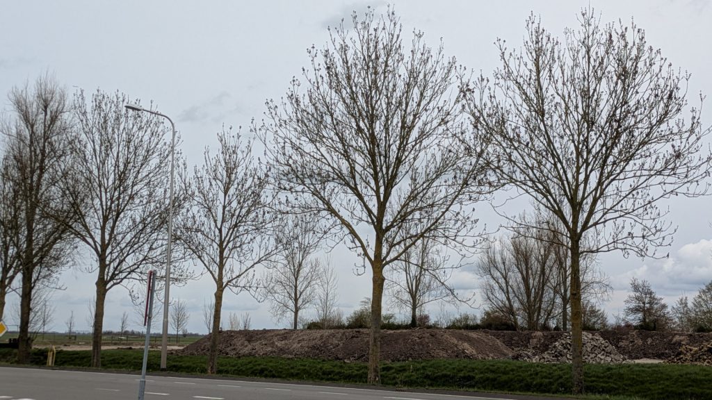 Gemeente Bodegraven-Reeuwijk wil minder regels van provincie