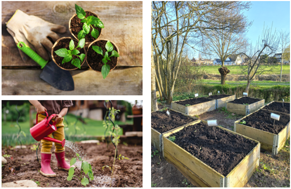 Start Kindermoestuin bij De Kievit in Harmelen