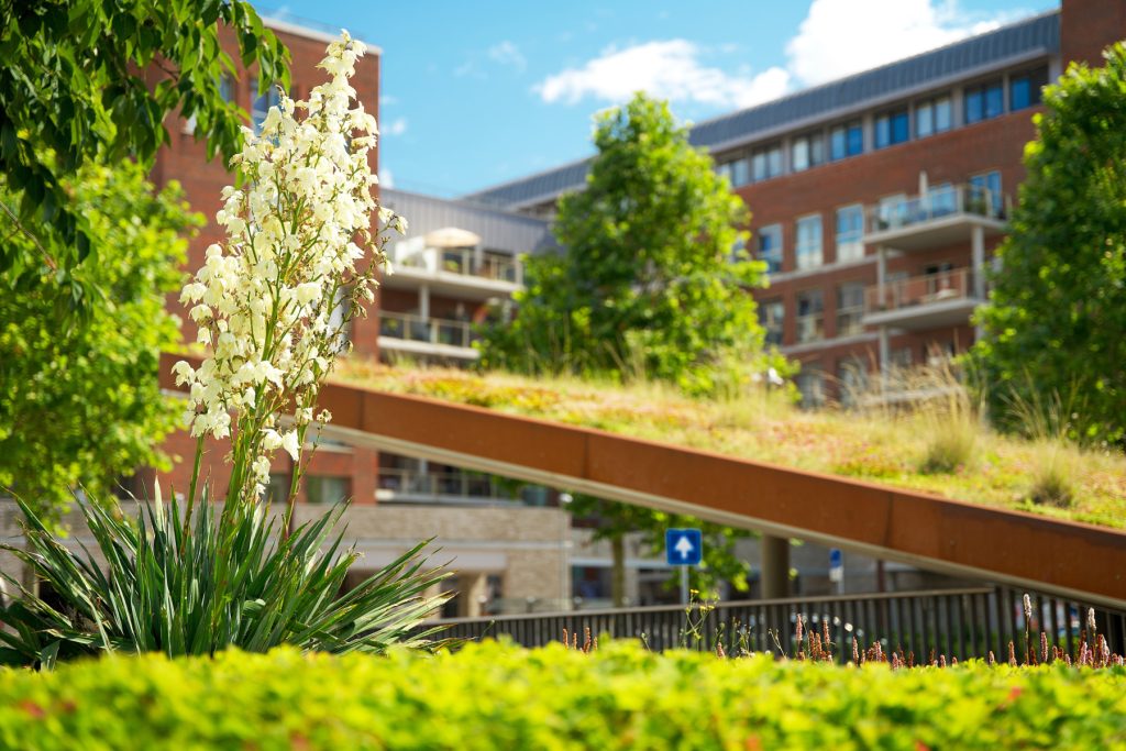 Biodiversiteit beter meetbaar in Woerdens vastgoed