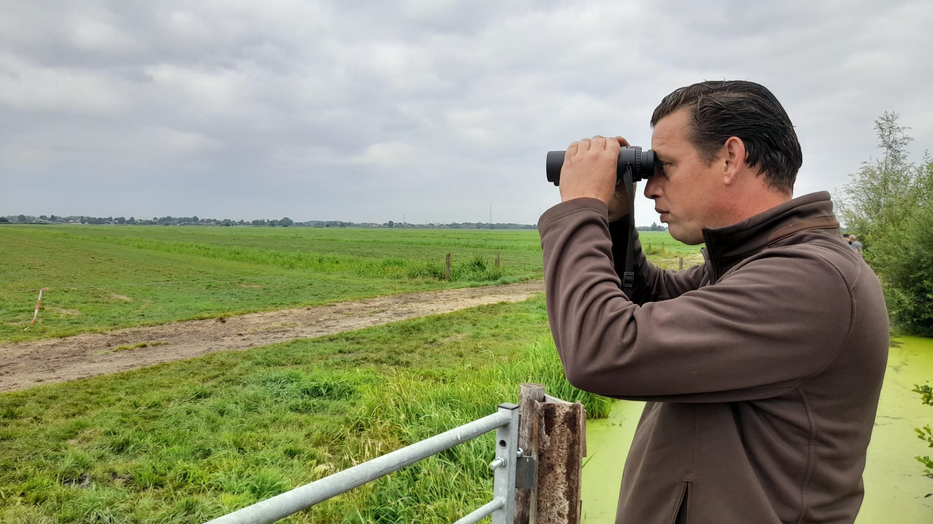 Ganzen horen bij de polder, maar zorgen ook voor problemen (met video)