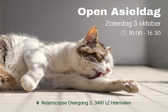 Dierendag – Open Asieldag Harmelen